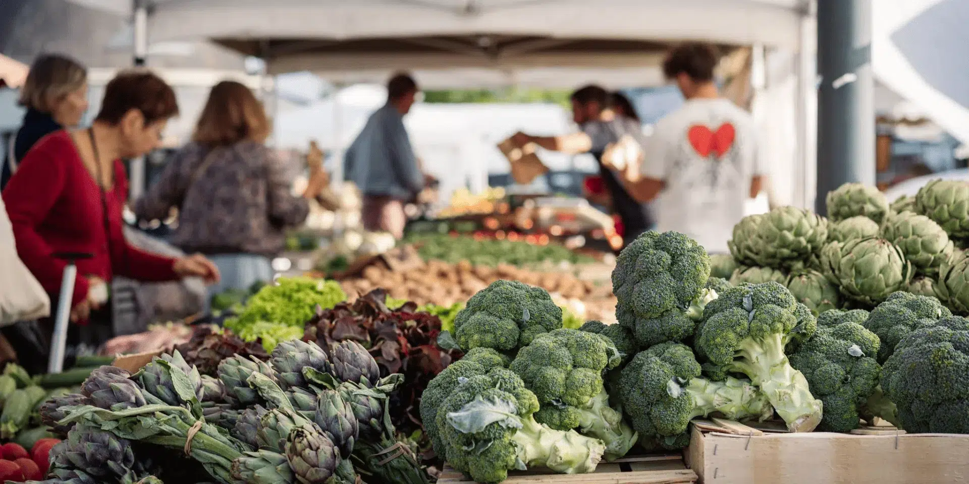 commerces finisteres sud a proximite camping