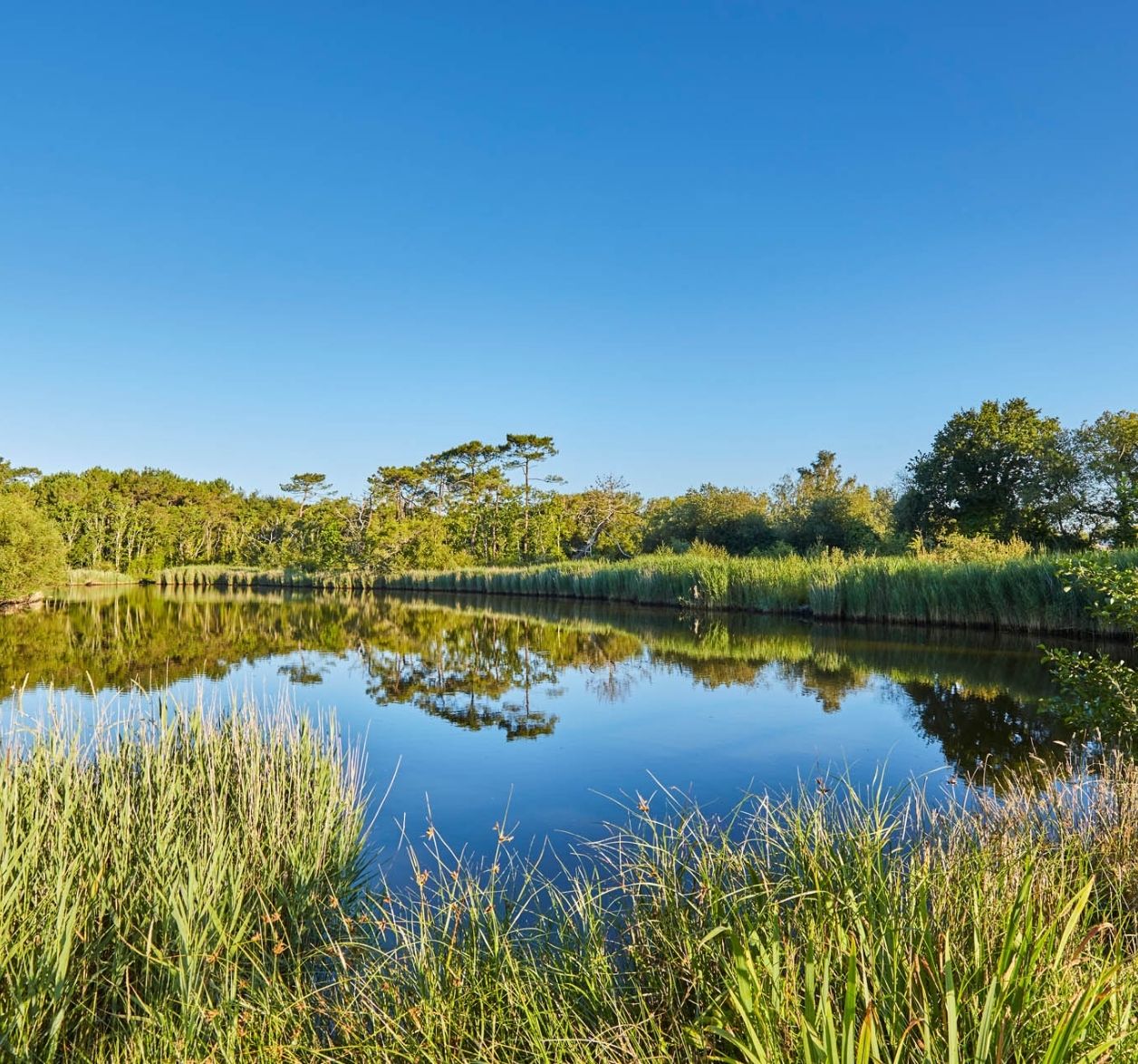 Marais bretagne camping la piscine