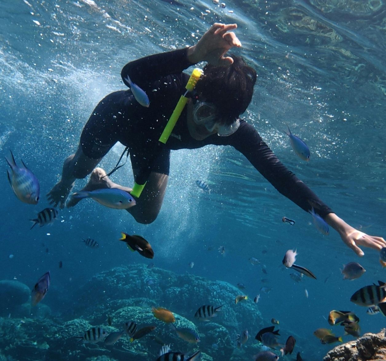 activités nautique bretagne plongée