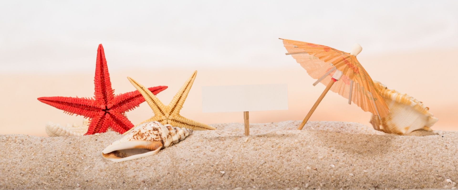 foire au question camping en bretagne